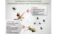 Antara Cicak dan Laba-laba
